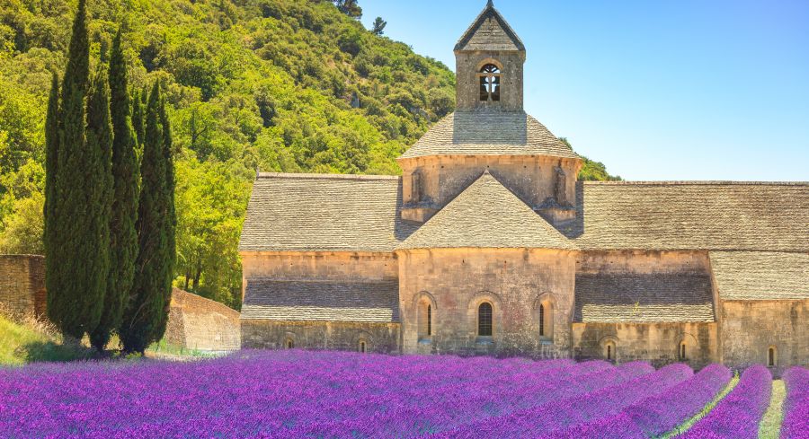 Kloster Senanque vor Provence-Feldern